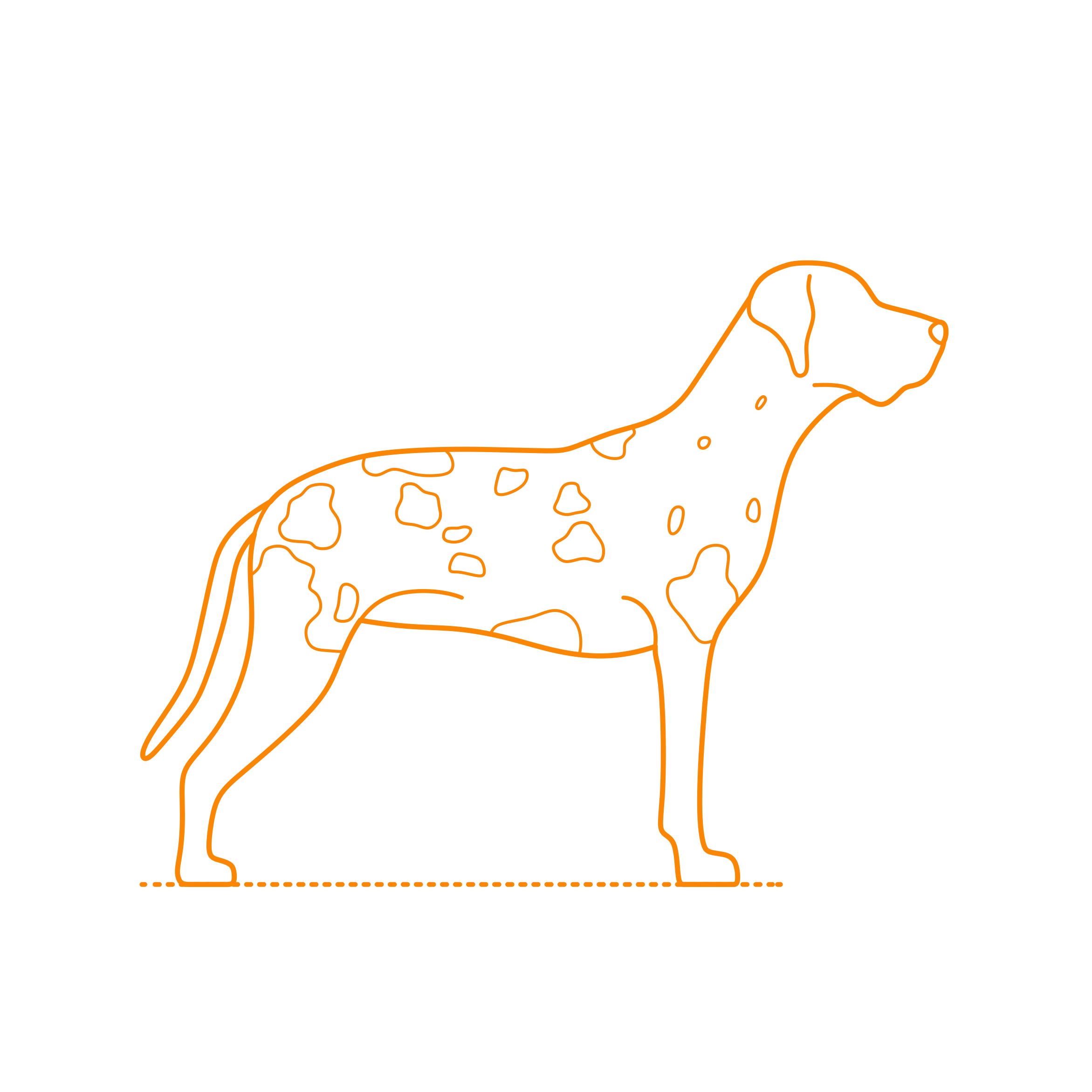 Animals Dogs American Leopard Hound Outline Svg Vector Free Vectors